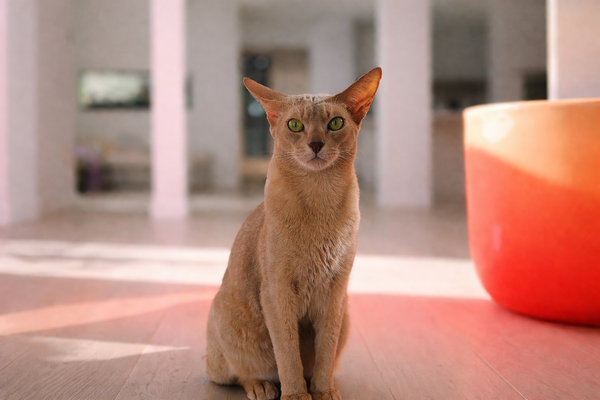 Tout est éphémère